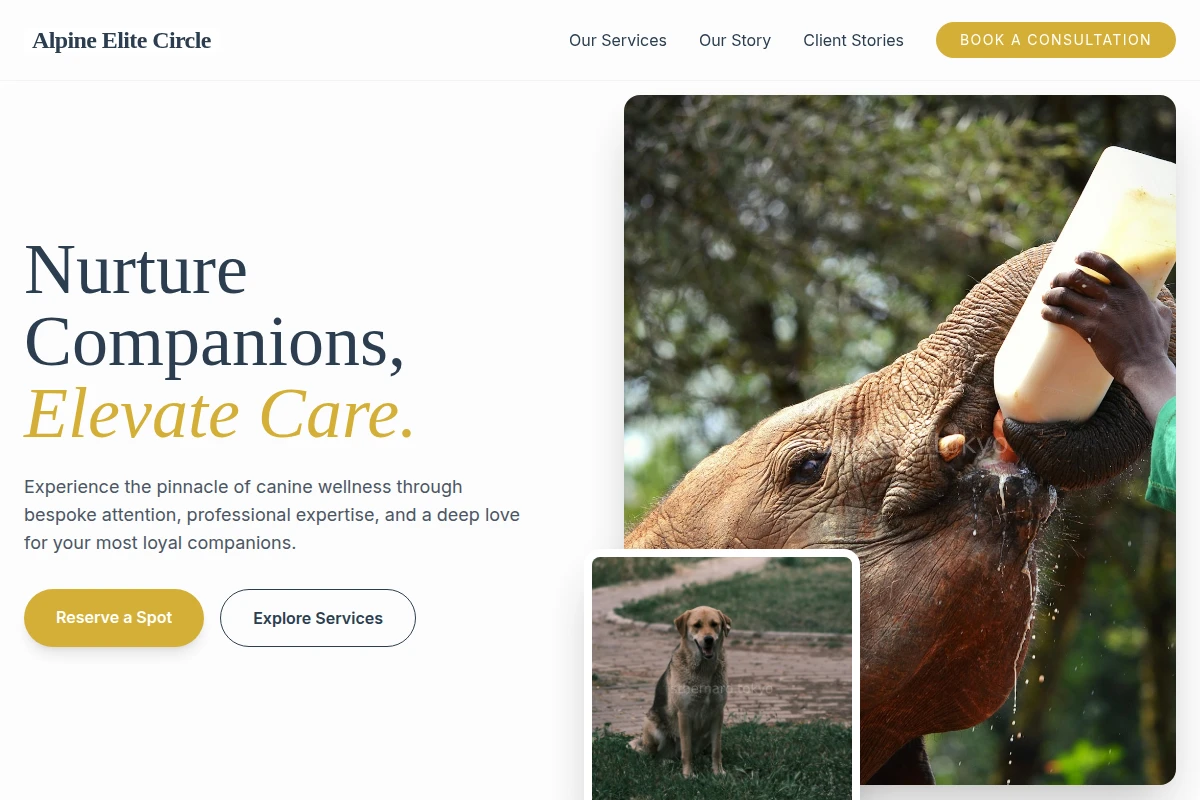 animal-care