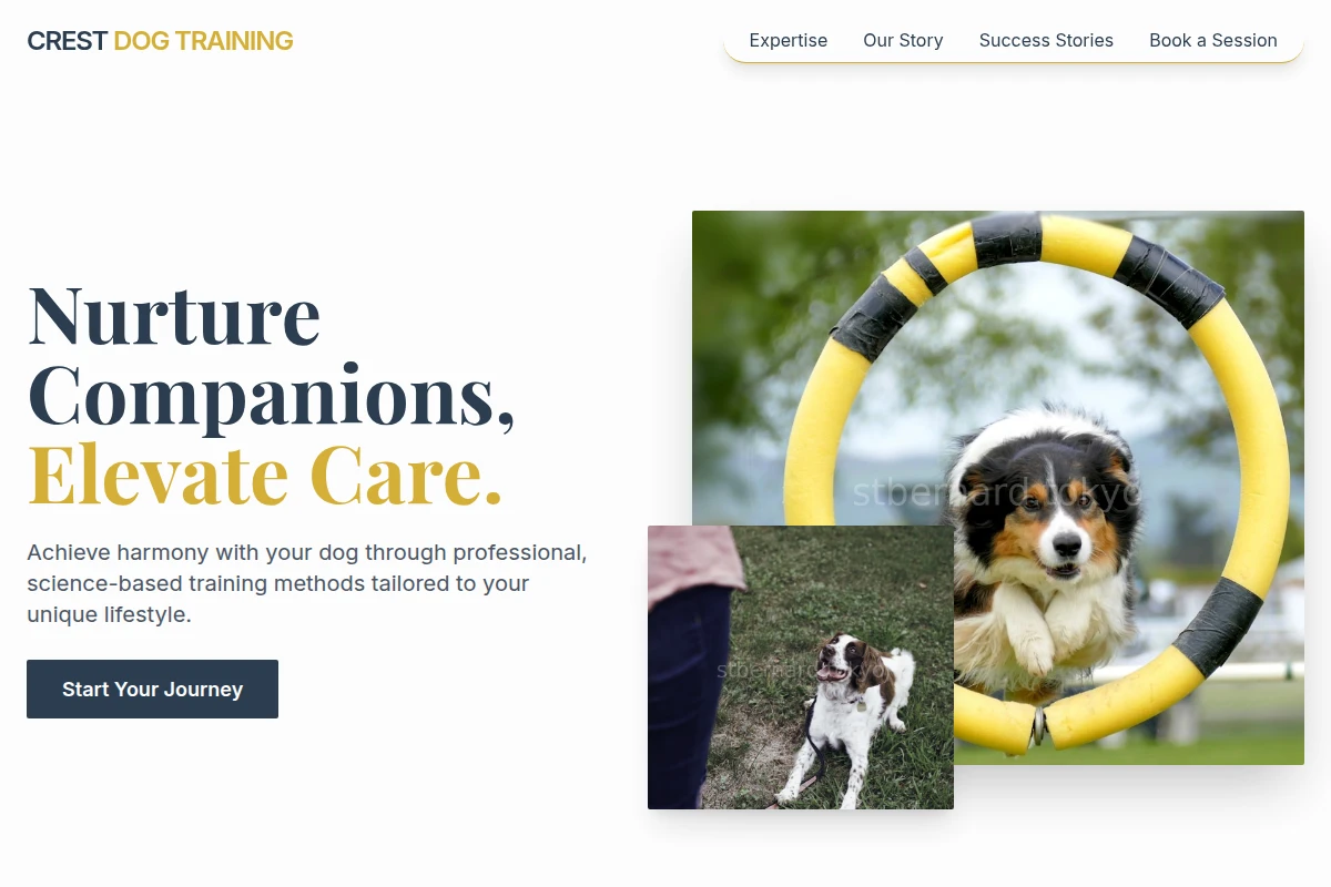 dog-training